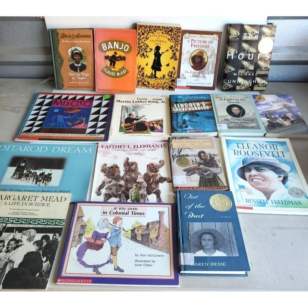 Lot of 17 American History Book Set for Homeschool ‎ African American Youth